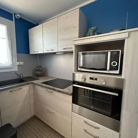 Apartment Ravissant Vue Ocean - 5 Pers. - Fr-1-224c-371 *